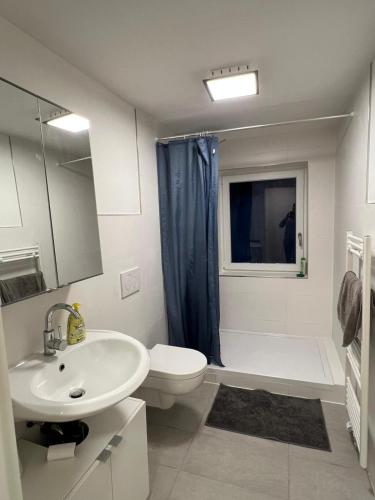 a bathroom with a sink and a toilet and a shower at Natur pur Katharina in Kraiburg am Inn