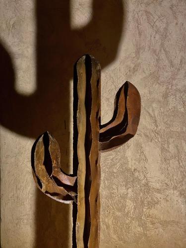 a cactus casts a shadow on a wall at Manzil La Tortue in Douar Caïd Layadi