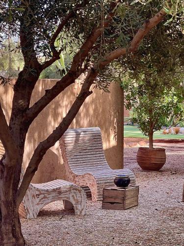 a wooden bench sitting next to a tree at Manzil La Tortue in Douar Caïd Layadi