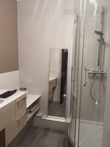 une salle de bain avec une douche, un lavabo et un miroir dans l'établissement LE GRAU DU ROI - SECTEUR RIVES GAUCHE - APPARTEMENT 2 CHAMBRES VUE MER ET PARKING, au Grau-du-Roi