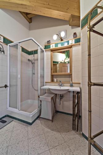 a bathroom with a shower and a sink and a tub at Chesa Roseg - Pontresina in Pontresina