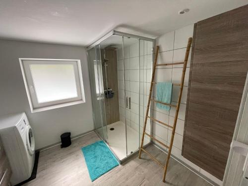 une salle de bain avec une douche avec une porte vitrée dans l'établissement Gite chez L'Olivier, à Linthal