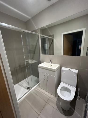 a bathroom with a toilet and a shower and a sink at Cosy James Street Park 2 bedroom, ground floor apartment, garden in Helensburgh