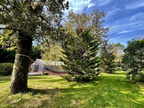 a house in a field with a tree at Roulotte insolite en pleine forêt- Domaine Temali in Labouheyre