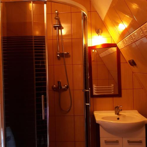 a bathroom with a shower and a sink at Willa Helena in Cisna