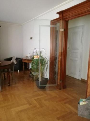 - un salon avec une plante en pot sur du parquet dans l'établissement Côté famille, les appartements en duplex en plein cœur de Munster, à Munster