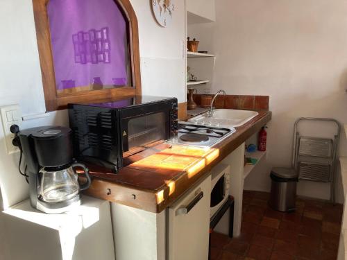 une petite cuisine avec un micro-ondes et un évier dans l'établissement Appartement de caractère rénové en centre-ville historique au coeur de la Provence, à Apt