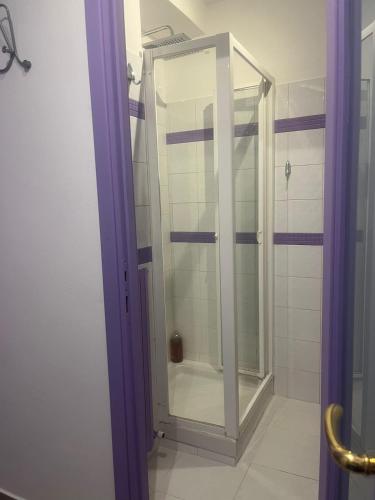 a shower with a glass door in a bathroom at Angolo di Viola in Turin