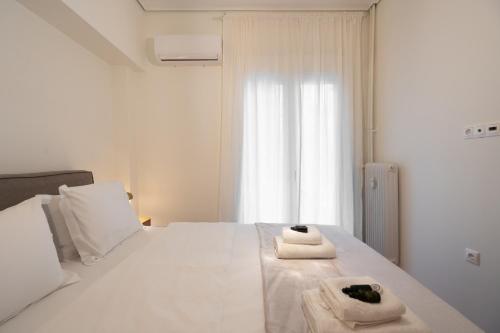 Prime location 1BR Hill Aprtm