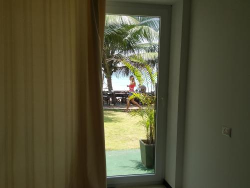 a person running through a window with a palm tree at The Den Guest House in Hikkaduwa