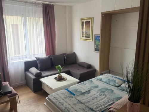 Gallery image of Apartment Centar in Podgorica