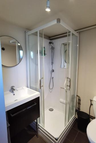 un bagno con doccia e lavandino di Studio dans les boucles de Seine proche de Rouen a Saint-Pierre-de-Manneville