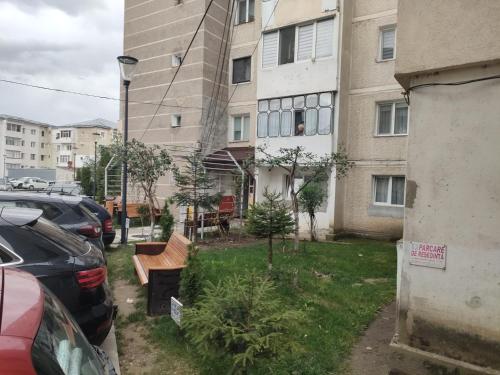 a yard with a bench in front of a building at apartament de inchiriat in loc Moinesti in Lucăceşti