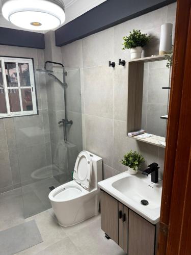 a bathroom with a toilet and a shower and a sink at Boca chica retreat in Boca Chica