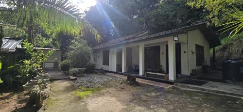 a small house in the middle of a forest at Ceylon Shine in Kandy