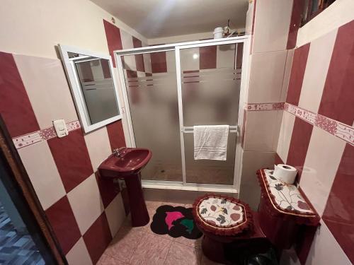 a bathroom with a shower and a toilet and a sink at Apartamento recien estrenado in Baños