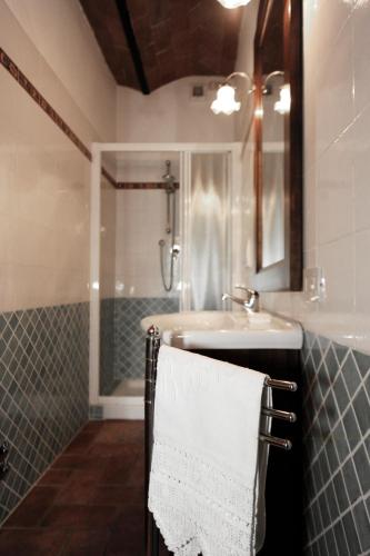 a bathroom with a sink and a shower and a towel at Agriturismo La Peschiera in Casole dʼElsa
