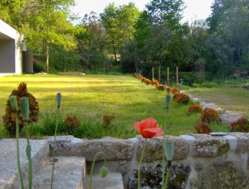 a garden with a stone wall and a red flower at Casas Vale Martinho in Santa Comba Dão