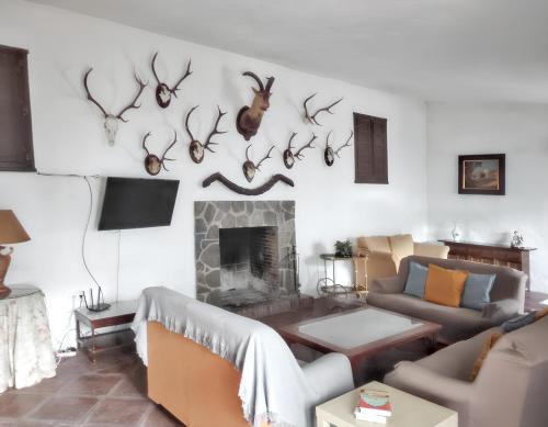 salon z kanapą i porożami na ścianie w obiekcie Luxury Villa in Málaga - Private Pool w Maladze