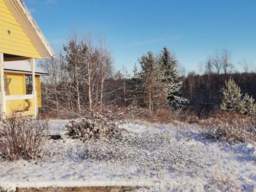 a yellow house with snow on the ground and trees at Humlehjarta family room, 3 separate beds in Överkalix