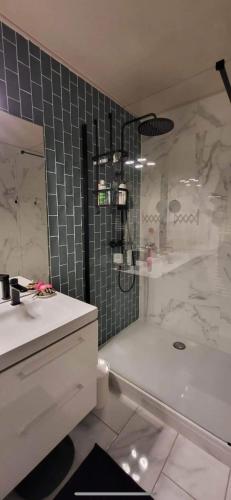 une salle de bain avec une douche, un lavabo et une baignoire dans l'établissement Chez Val et Paul, à Vannes