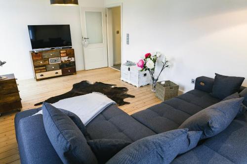 a living room with a blue couch and a tv at DesignLodge Apartments in Bad Sobernheim