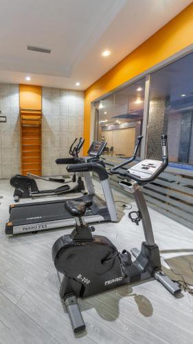 Fitness centrum a/nebo fitness zařízení v ubytování ALBA HOTEL & SPA