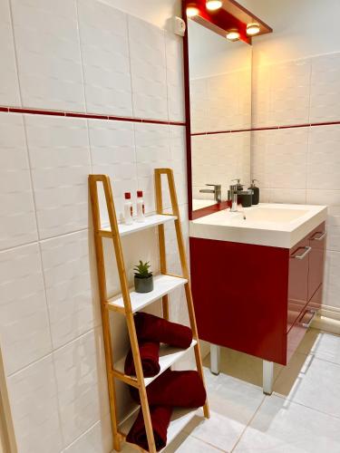 La salle de bains est pourvue d'un lavabo et d'une étagère à côté d'un miroir. dans l'établissement LES CARMES - Centre ville Toulouse, à Toulouse