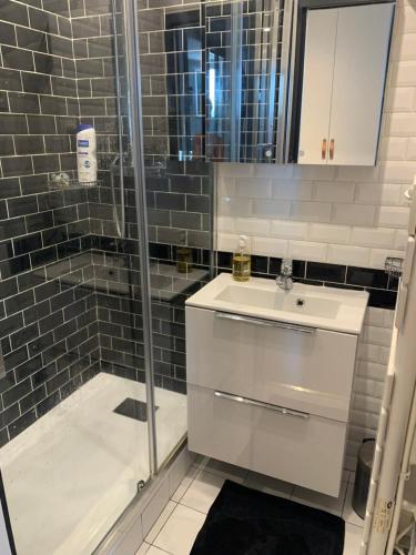 une salle de bain avec douche et lavabo dans l'établissement Parenthèse idéale Montorgueil loft In Paris, à Paris