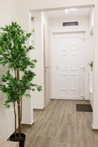 a hallway with a white door and a plant at Sixties Elite Free Private Parking in Debrecen