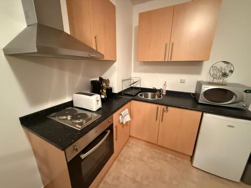 a small kitchen with a stove and a microwave at Pine`s Lodge , private Wi-FI in Bansko