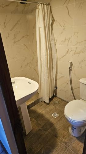 un bagno con lavandino, WC e doccia di Casita de Norma Faro a Mar del Plata