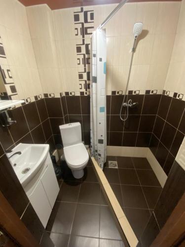 a bathroom with a toilet and a shower and a sink at MODEST in Slavske