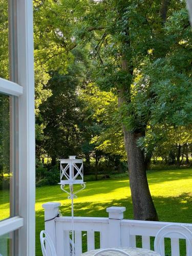 a white porch with a table and a tree at Gutshaus Krimvitz kleines Doppelzimmer im Obergeschoss inklusive Frühstück in Putbus