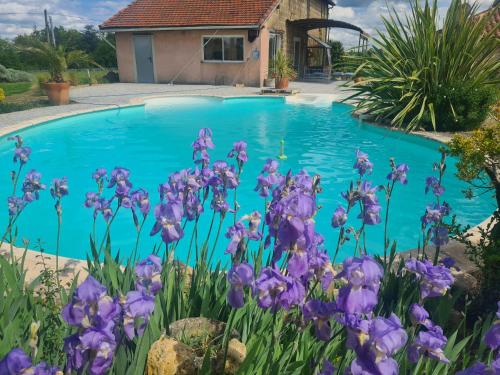 une piscine bleue avec des fleurs violettes en face de celle-ci dans l'établissement LOFT de BARTUEL à 5 min de NOGARO, à Arblade-le-Haut