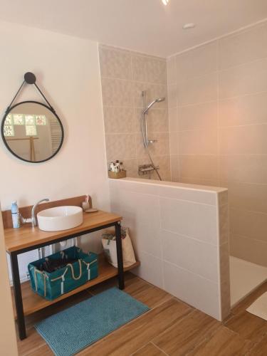 a bathroom with a tub and a sink and a mirror at LOFT de BARTUEL à 5 min de NOGARO in Arblade-le-Haut