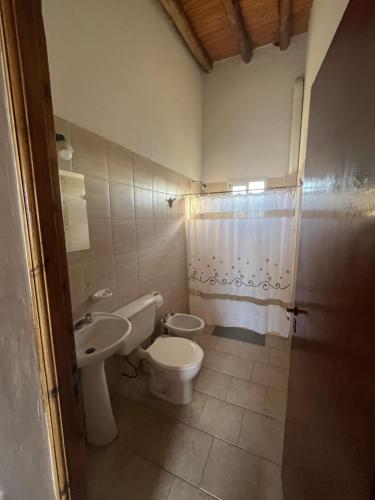 a bathroom with a toilet and a sink at Los Olivos Apart in San Rafael
