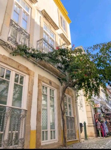 a building with a tree in front of it at Chic Suite Sequa in Taviras Historical Centre in Tavira