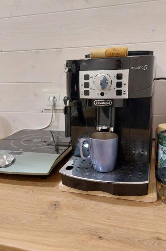 a coffee maker with a cup on a counter at Apgyvendinimas Rokiskyje namukas Skandis in Rokiškis