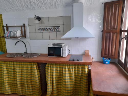 a kitchen with a counter top with a microwave on it at El Melocotonero in Benalúa de Guadix