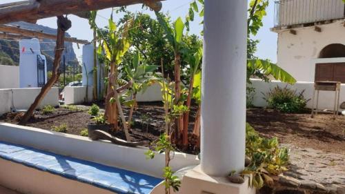 a garden outside a house with trees and a pole at La Casa del Pescatore in Filicudi