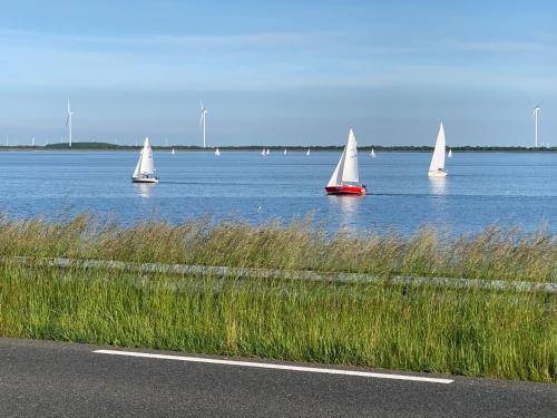 a group of sailboats on a large body of water at PRACHTiG CHALET MEREL in Westerland