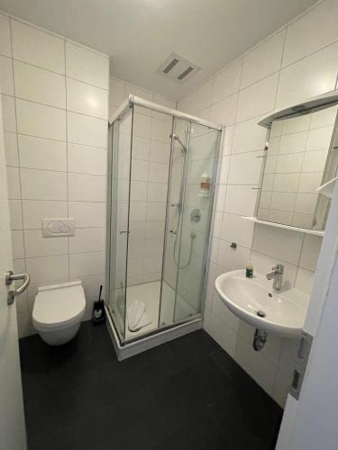 a bathroom with a shower and a toilet and a sink at Landhotel Sickinger Hof in Walldorf
