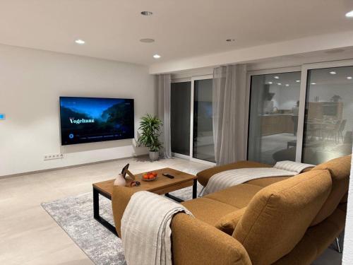 a living room with a couch and a tv at DonauDeluxe in Geisingen