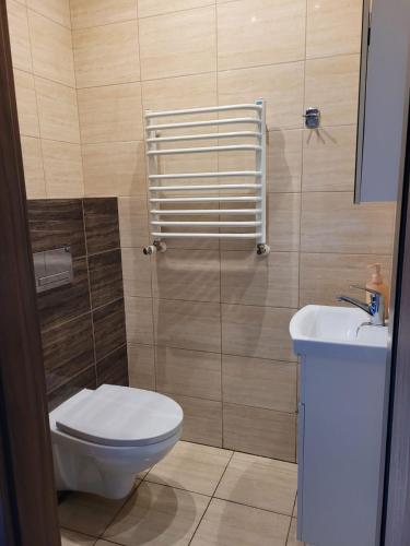 ein Badezimmer mit Toilette und Waschbecken in der Unterkunft Hotel Atrans in Psary