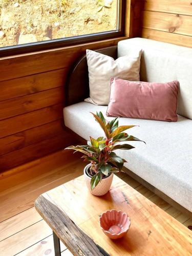 Mountain Eco Shelter 6