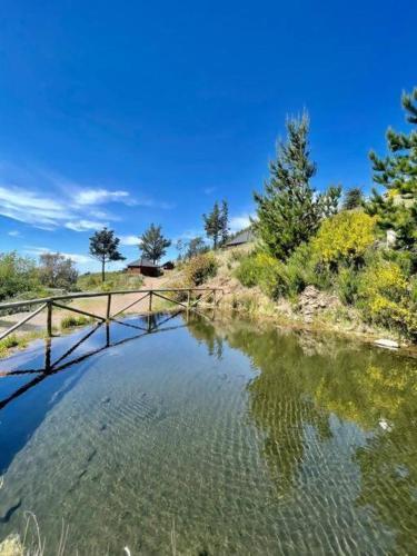 a bridge over a river with trees in the background at Mountain Eco Shelter 9 in Funchal