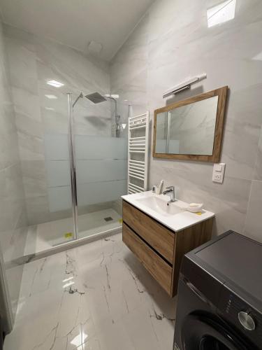 une salle de bain avec un lavabo, une douche et un miroir dans l'établissement Maison Dijon, à Dijon
