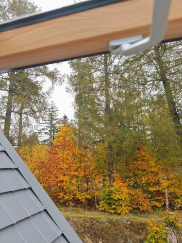 a view from a window of fall foliage at Apartament Górski Widok in Szklarska Poręba
