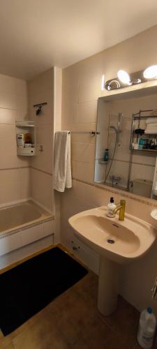 Spacieux Appartement Rose front mer et piscine